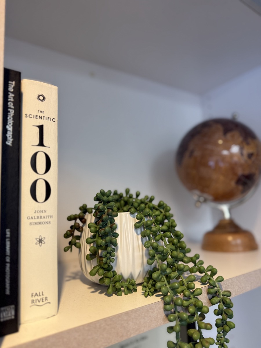 Books, plant, and globe decorating a shelf inside Burien Dental office.